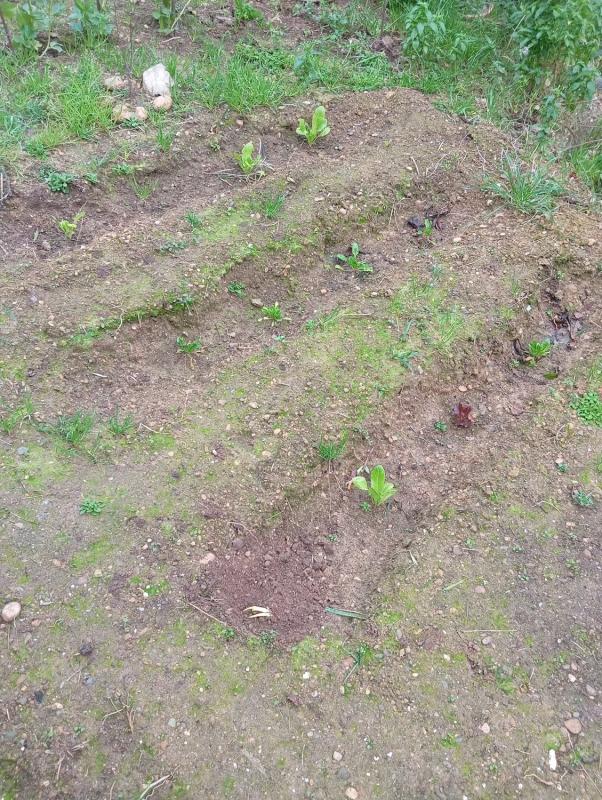 Land for sale in El Bruc, Barcelona photo 1