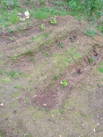 Terreno en calle Manresa, 17 photo