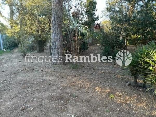 Terreno en La Pobla de Claramunt photo 4