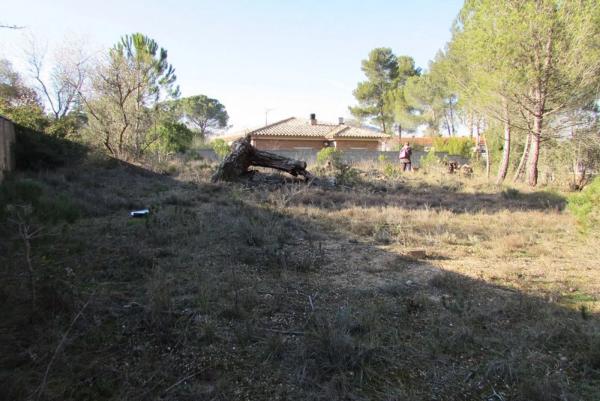 Terreno en La Pobla de Claramunt photo 4