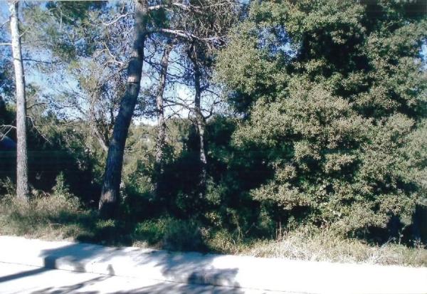 Terreno en calle Anoia photo 1