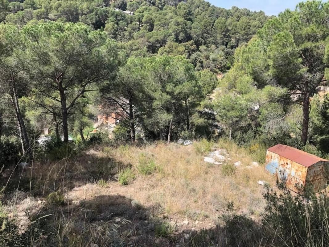 Terreno en venta en Cabrera d'Anoia, Barcelona photo 4