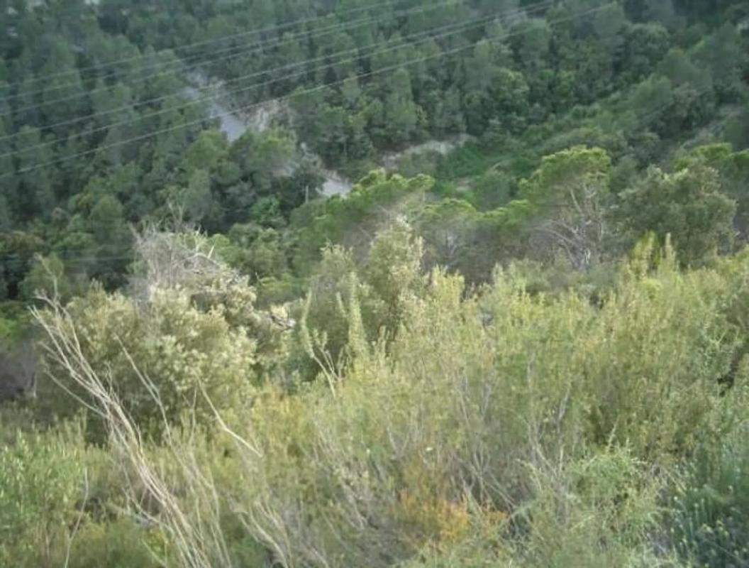 Terreno en venta en Cabrera d'Anoia, Barcelona photo 5