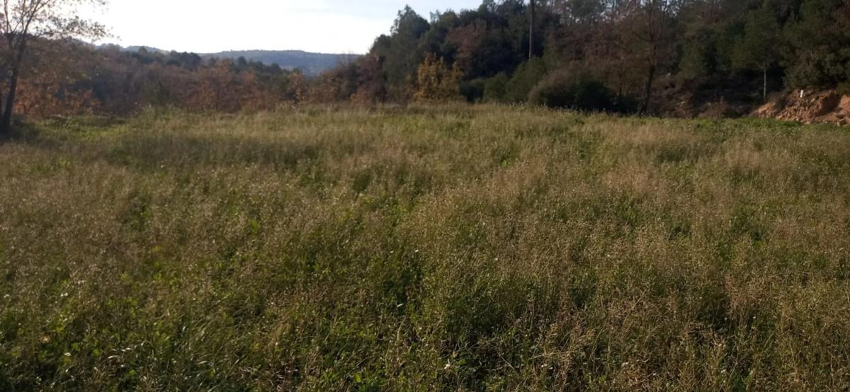 Terreno en venta en Castellfollit de Riubregós, Barcelona photo 4