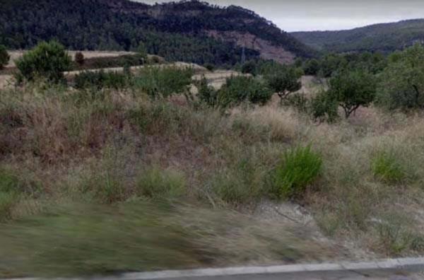 Terreno en Vallbona d'Anoia photo 3