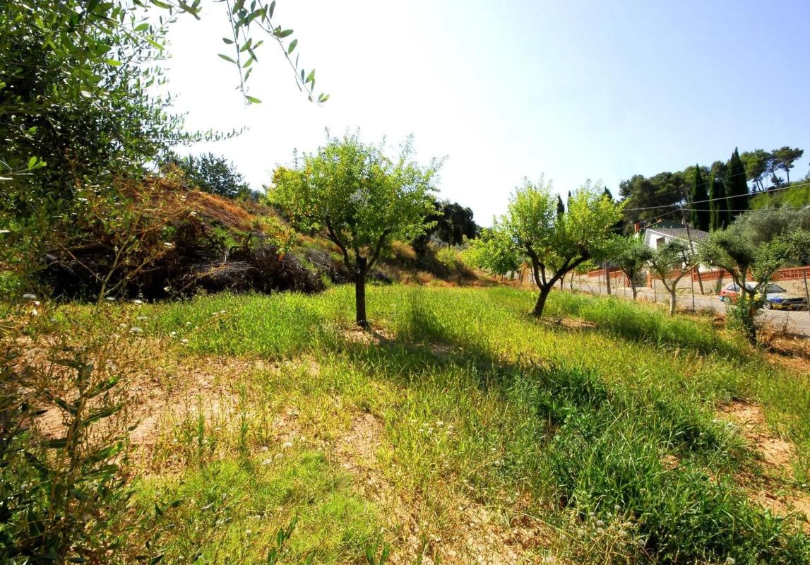 Land for sale in Cabrera de Anoia, Barcelona photo 4