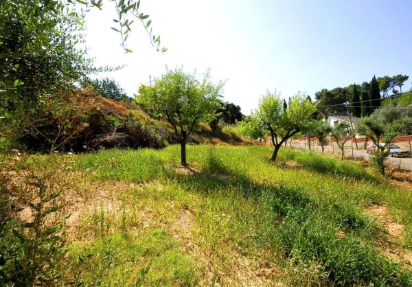 Terreno en Cabrera d'Anoia photo 4