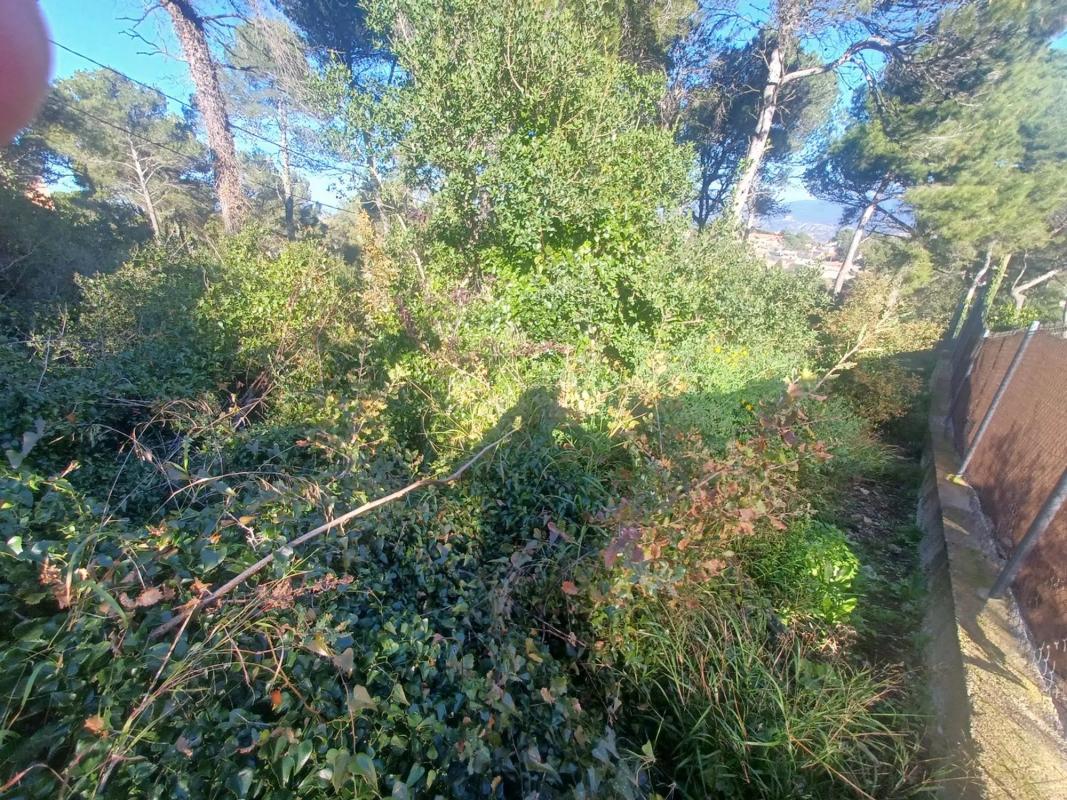Land for sale in The Tower of Claramunt, Barcelona photo 3