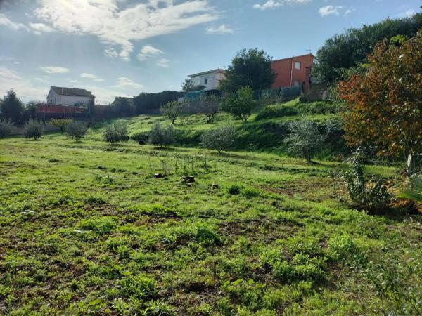 Terreno en Els Hostalets de Pierola photo 1