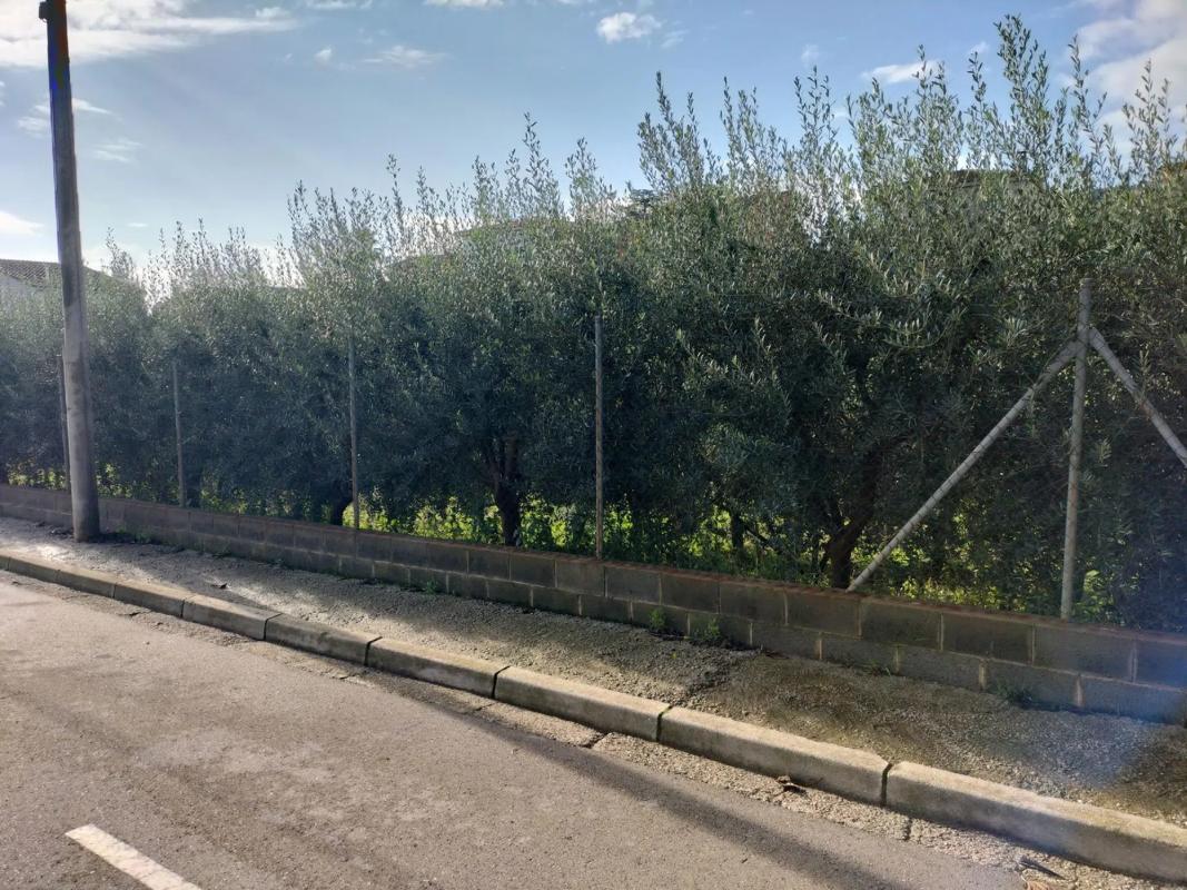 Участок земли на продажу в Эльс Осталетс де Пьерола, Барселона photo 2