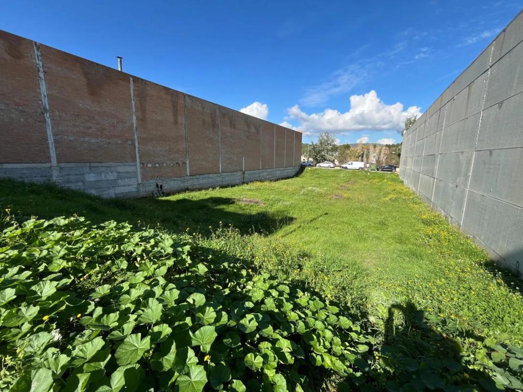 Land for sale in Santa Margarida de Montbui, Barcelona photo 5