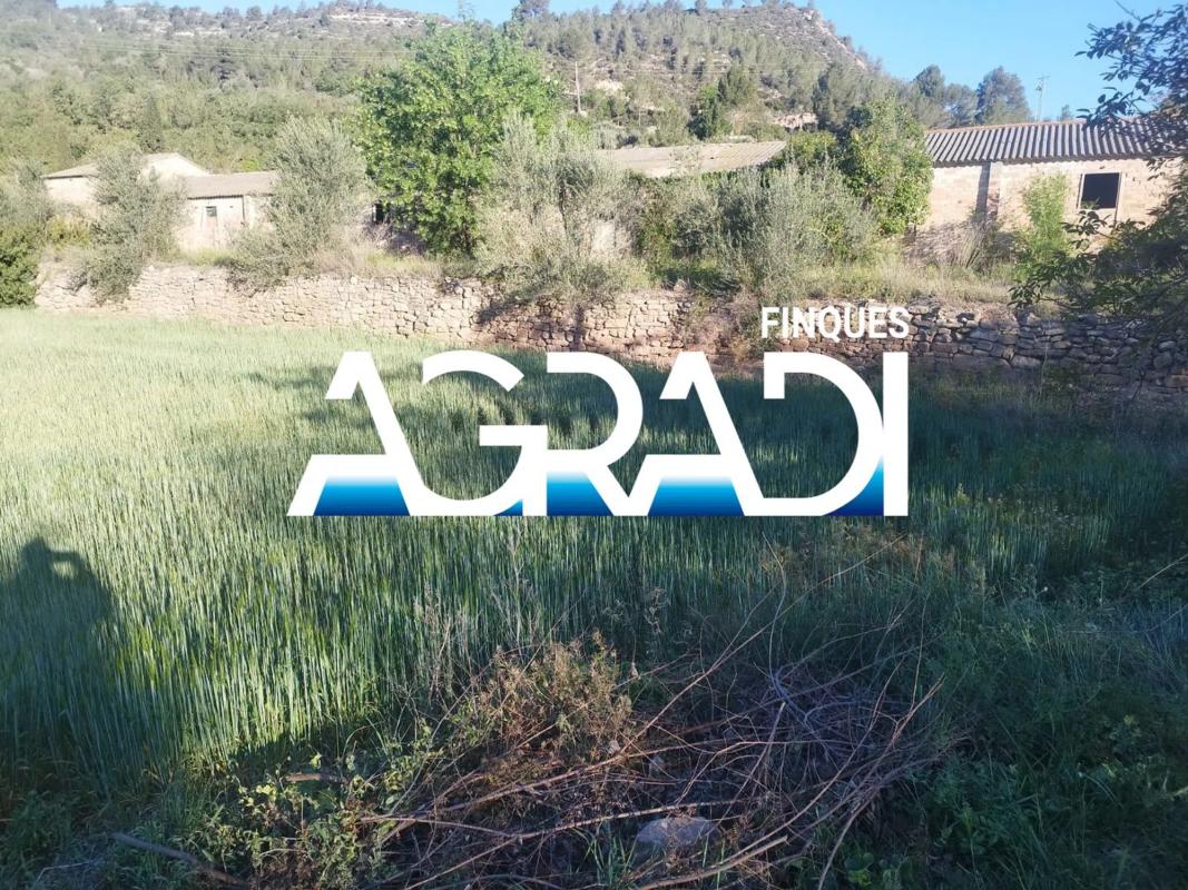 Terreno en venta en Copons, Barcelona photo 3