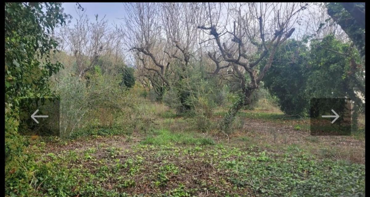 Terreno en venta en Piera, Barcelona photo 5