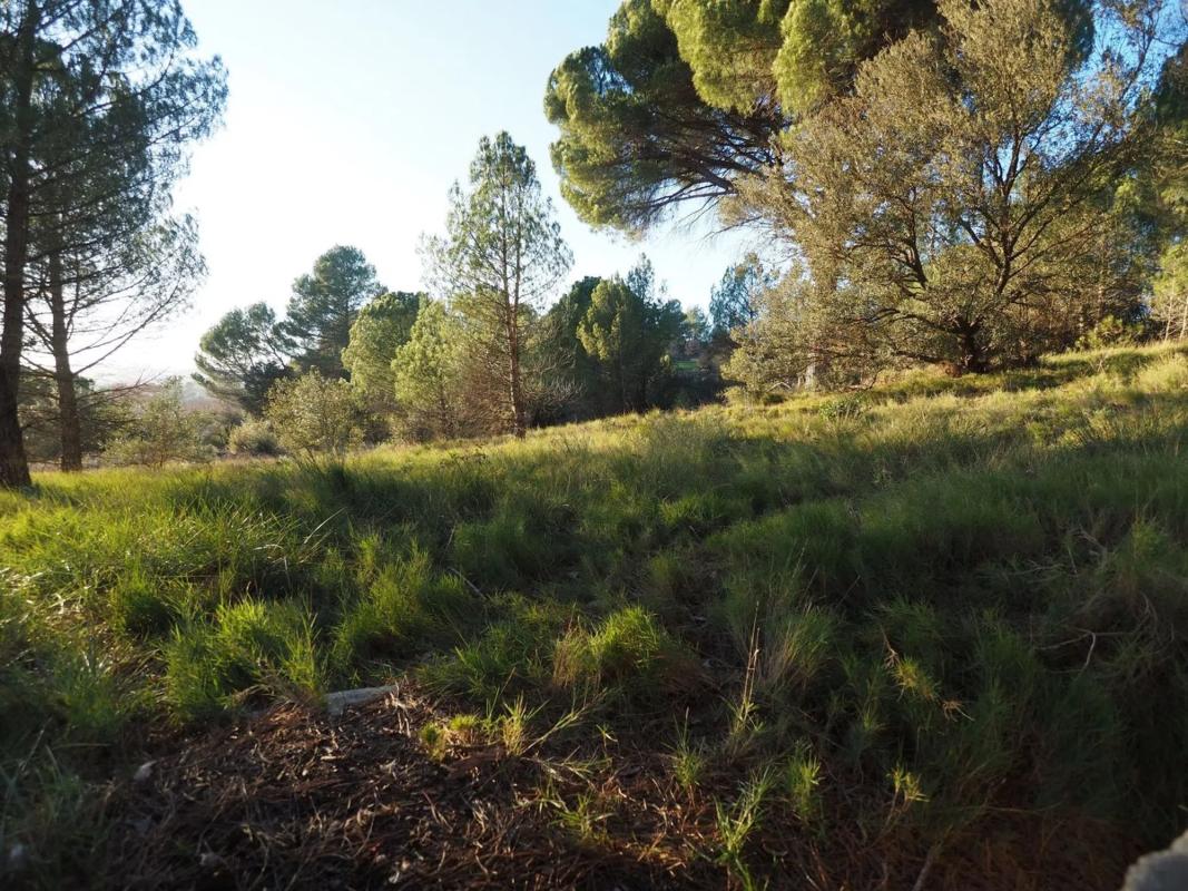 Działka na sprzedaż w Igualada, Barcelona photo 3