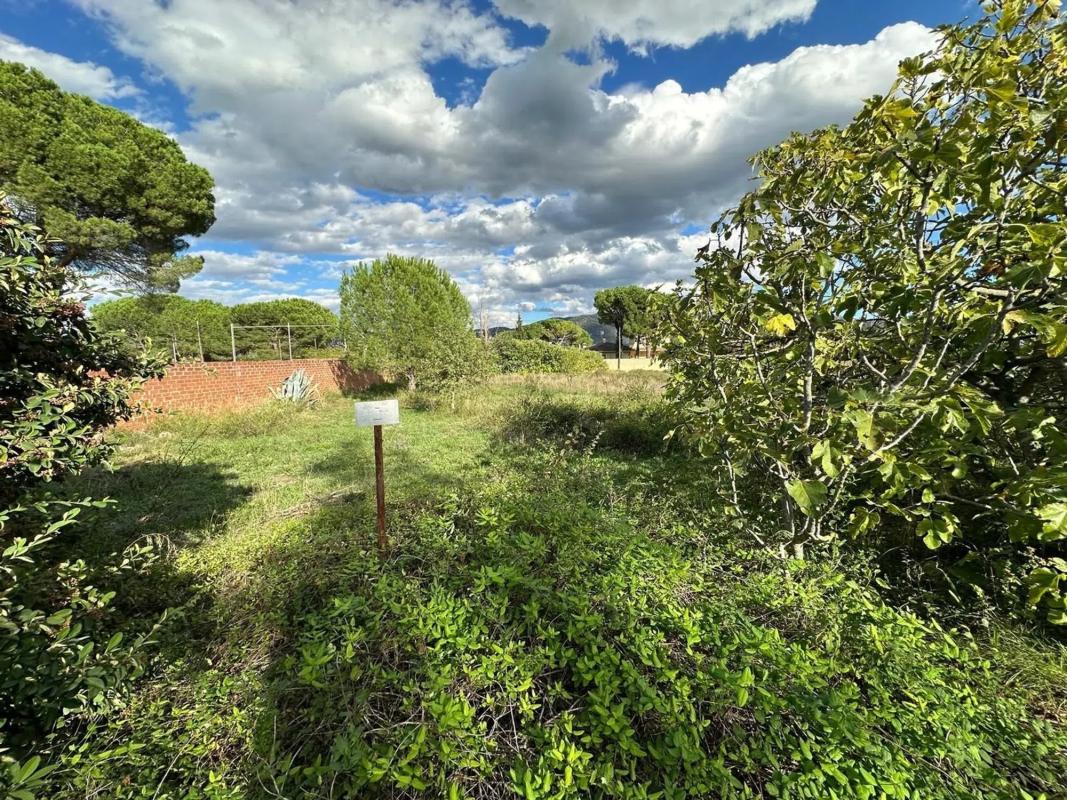 Terreno en venta en Pobla De Claramunt, La, Barcelona photo 3