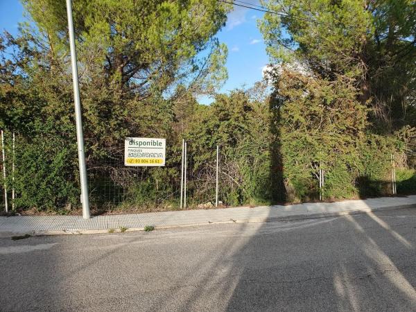 Terreno en Carme photo 3
