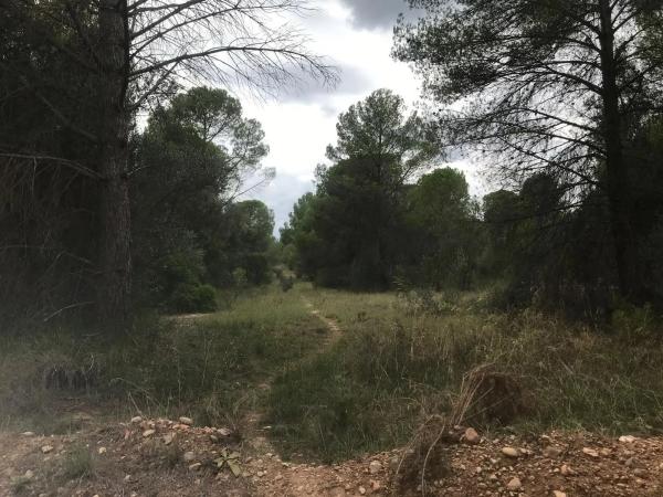 Terreno en El Bruc photo 1