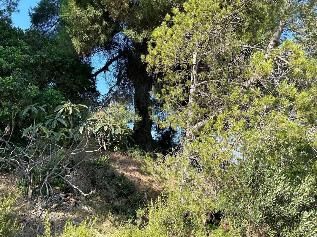 Terreno en venta en Piera, Barcelona photo 2