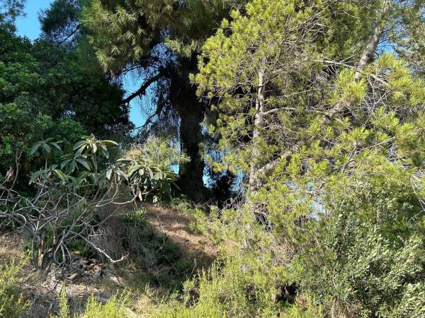 Terreno en avenida de Tibidabo, 17 thumbnail 1