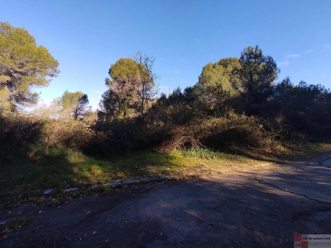 Terreno en venta en Piera, Barcelona photo 5