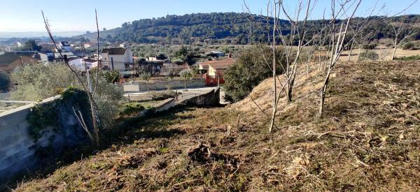 Terreno en calle Rosella, 754 photo 4