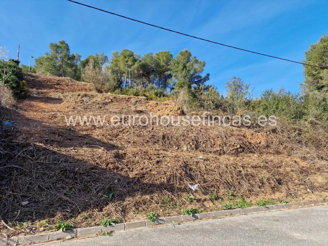 Land for sale in Cabrera de Anoia, Barcelona photo 2