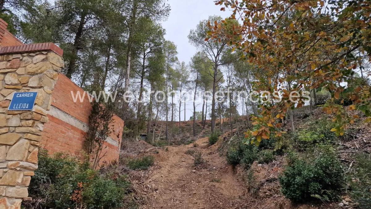 Terreno en venta en Cabrera d'Anoia, Barcelona photo 2