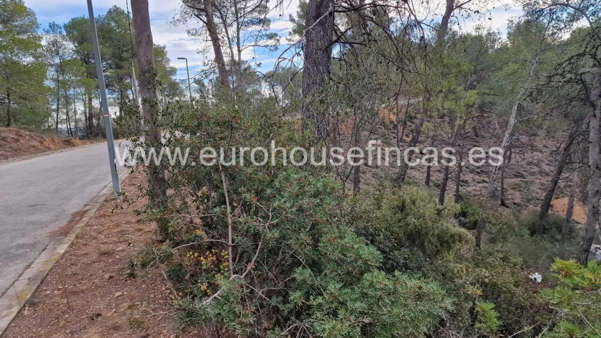 Terreno en venta en Cabrera d'Anoia, Barcelona photo 5