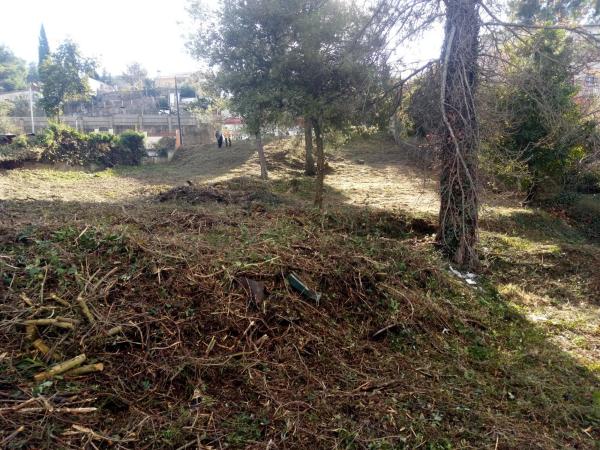 Terreno en avenida de Catalunya, 128 photo 2