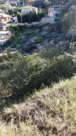 Terreno en Cabrera d'Anoia photo 4