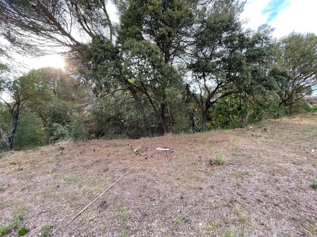 Terreno en venta en Igualada, Barcelona photo 5