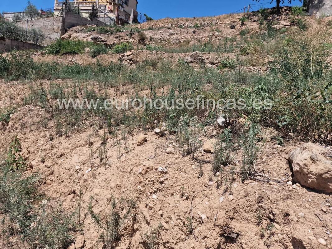 Land for sale in Cabrera de Anoia, Barcelona photo 3