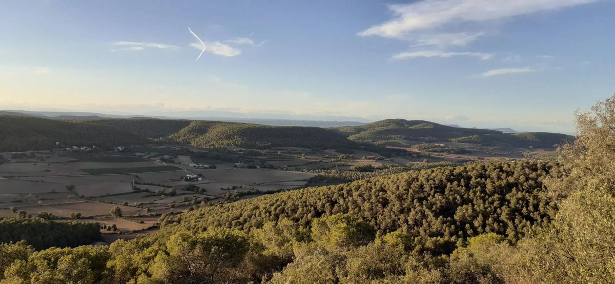 Terreno en venta en Llacuna, La, Barcelona photo 3