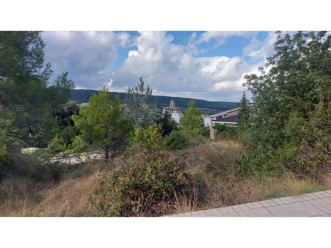 Terreno en venta en Llacuna, La, Barcelona photo 4