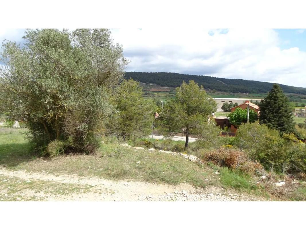 Terreno en venta en Llacuna, La, Barcelona photo 2