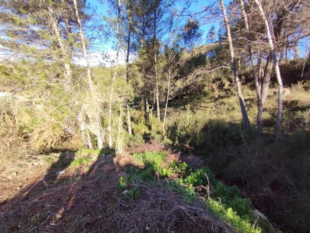 Terreno en venta en Pobla De Claramunt, La, Barcelona photo 2