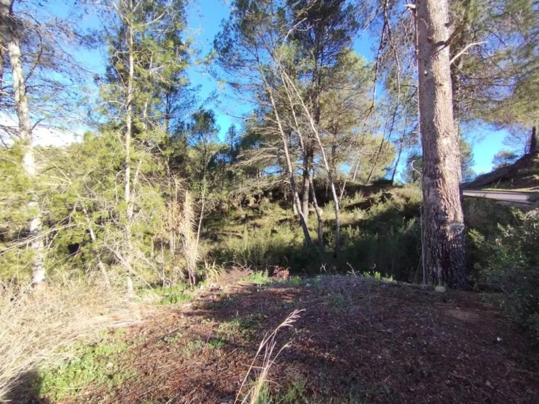 Terreno en venta en Pobla De Claramunt, La, Barcelona photo 3
