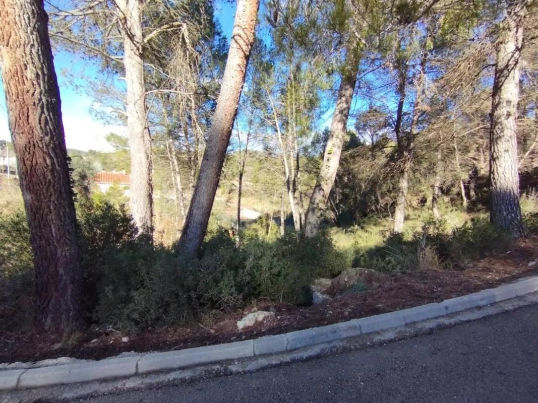 Terreno en venta en Pobla De Claramunt, La, Barcelona photo 4