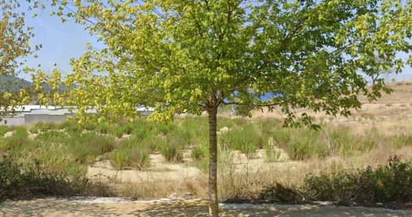 Terreno en calle dels Blanquers photo 4