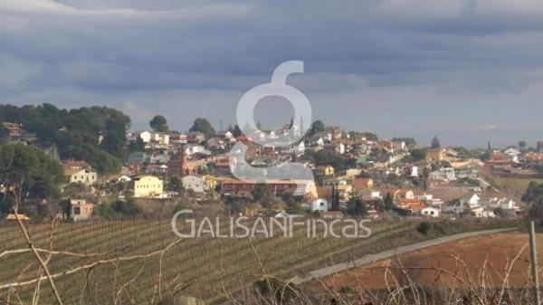 Terreno en calle Cirerer photo
