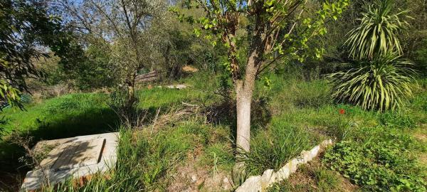 Terreno en avenida de la Carretera d'Igualada s/n photo 1