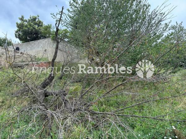 Terreno en Castelloli photo 2