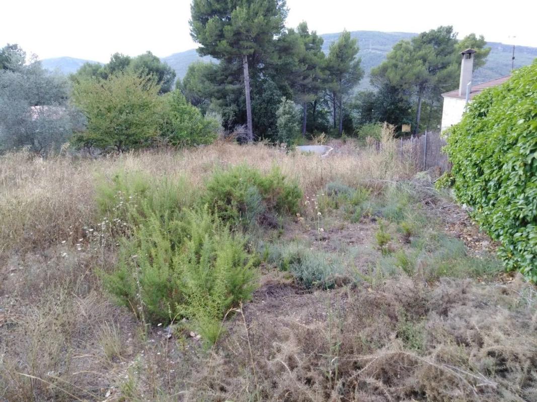 Land for sale in Bellprat, Barcelona photo 1