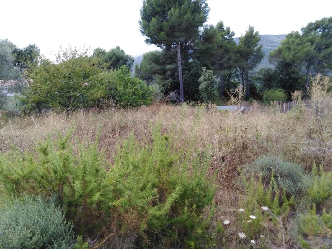 Land for sale in Bellprat, Barcelona photo 2