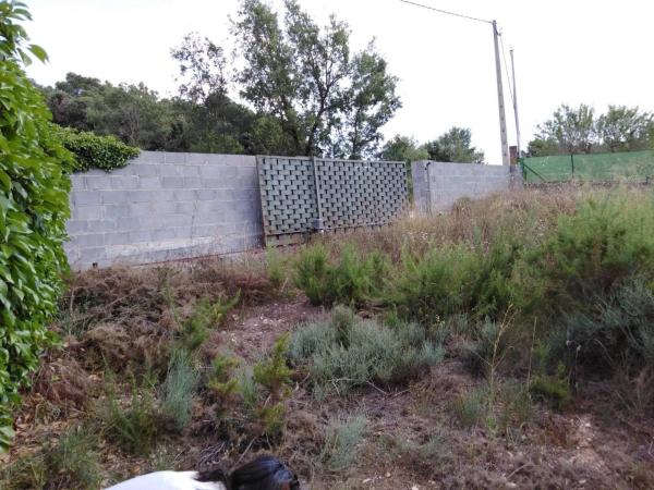 Terreno en Bellprat photo 4