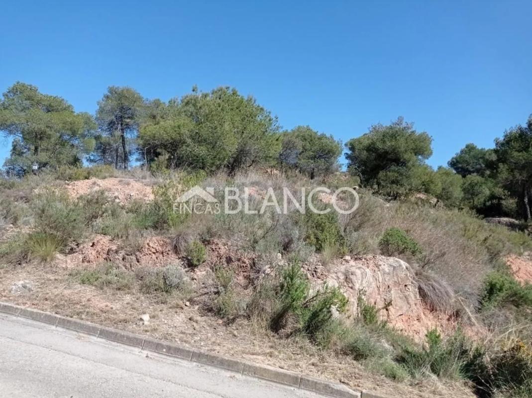 Terreno en venta en Pobla De Claramunt, La, Barcelona photo 2