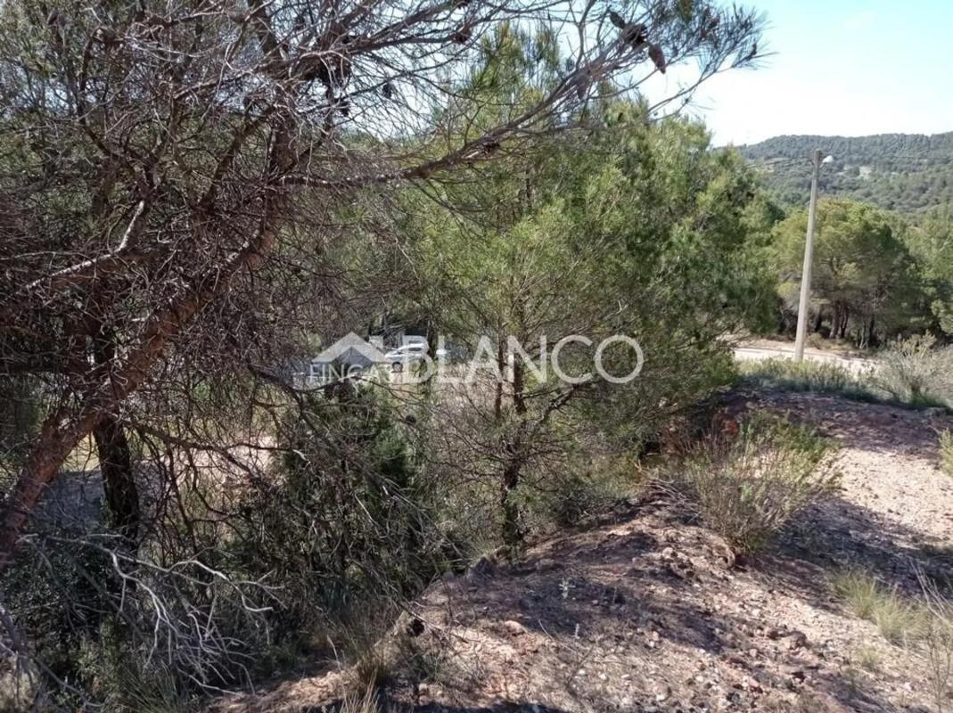 Terreno en venta en Pobla De Claramunt, La, Barcelona photo 3