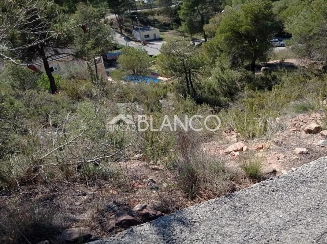 Terreno en venta en Pobla De Claramunt, La, Barcelona photo 4
