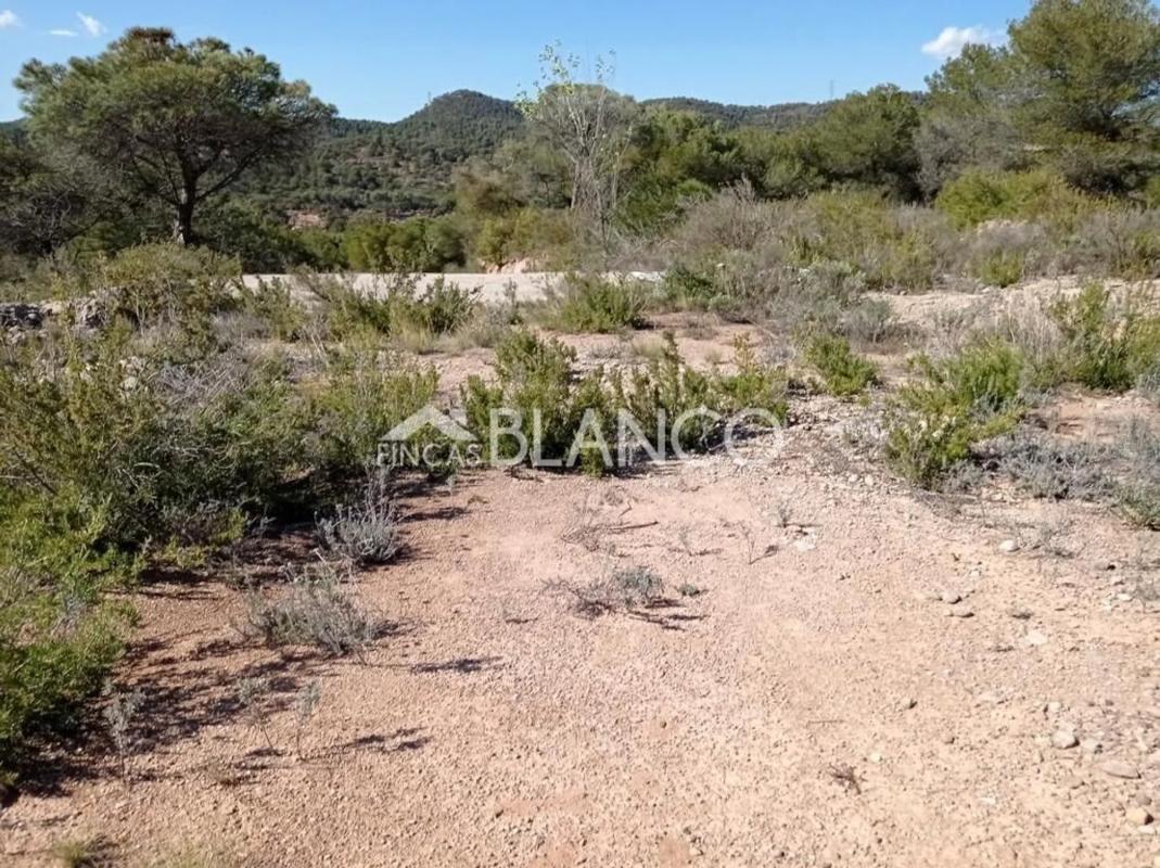 Terreno en venta en Pobla De Claramunt, La, Barcelona photo 5