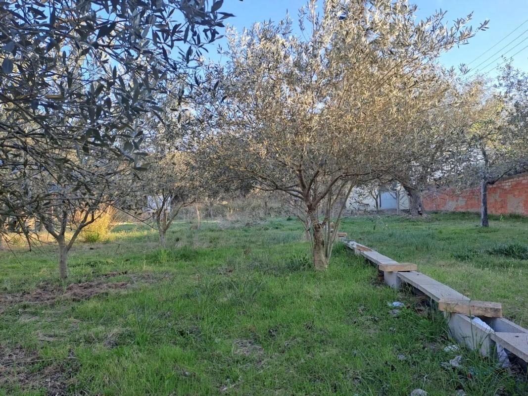 Terreno en venta en Pobla De Claramunt, La, Barcelona photo 3